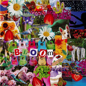 Bloom album cover image